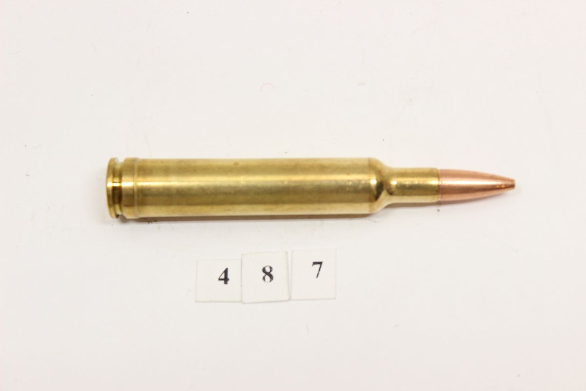 Single Shell Weatherby .240 Wby Mag .240 Weatherby Magnum Hollow Point